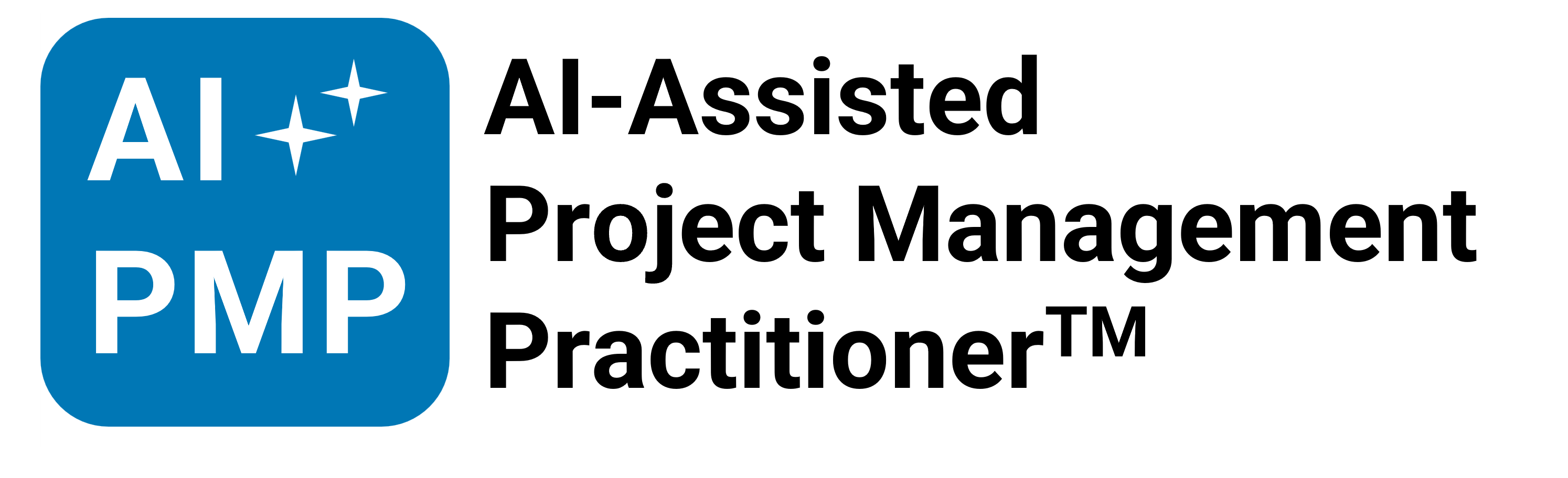 AI-Assisted Project Management Practitioner